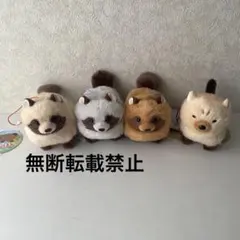 たぬぽんぽん LMC 全4種 ぬいぐるみ マスコット フルコンプ たぬき 狸