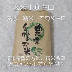 令和7年 大阪府産 玄米 キヌヒカリ 10kg - メルカリ