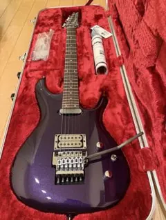 2025年最新】ibanez ハードケースの人気アイテム - メルカリ