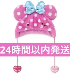 ミニー ファンキャップ ファンダーランド パルパルーザ 新品タグ付き