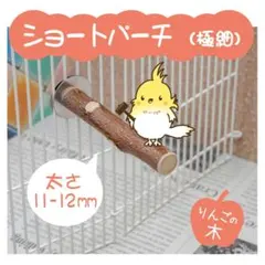 Item thumbnail for item 095aaa15-1d22-4d39-a8ed-df1a35be7fda