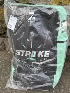 Item thumbnail for item 2105efc5-d5f0-4fca-981d-6ad3f427b144