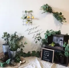 【レンタルおうちスタジオ】誕生日 装飾 1歳 ハーフバースデー バルーン