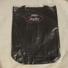 Item thumbnail for item 40caa446-f02c-45a7-bb8e-379486fe1914