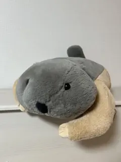 Dr.マーモット まもちおもプクのぺたーん＆マモ相撲ぬいぐるみ 4種