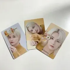 &honey SEVENTEEN JEONGHAN セブチ ジョンハン トレカ