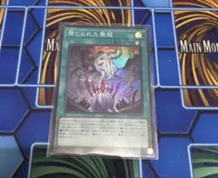 禁じられた聖冠