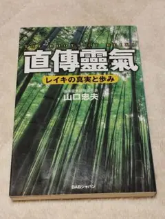 直傳靈氣　山口忠夫