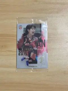 バレーボール日本代表 トレーディングカード 木村沙織
