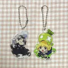 Dr.STONE ドクターストーン ドクスト アクリルスタンド ゼノ スイカ