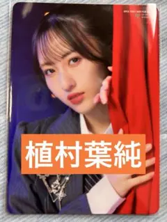 Item thumbnail for item 27499dfe-8cc8-473c-a13a-34cb703e9f65