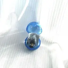 名探偵コナン めじるしアクセサリー ✰ 赤井秀一