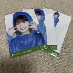 乃木坂46 小川彩 生写真 恐竜 コンプ