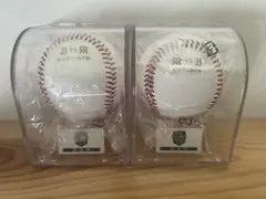 日本シリーズ 2023 公式球 ボール タイガース オリックス 甲子園 試合球