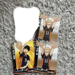 ハイキュー 影山飛雄 日向翔陽 谷地仁花 月島蛍