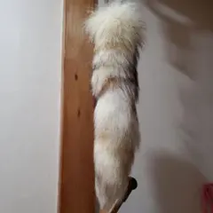 Y2Kしっぽファー キーホルダー