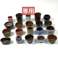 クレイ様 リクエスト 2点 まとめ商品　多肉植物　ミニ鉢盆栽ポット