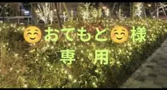 Item thumbnail for item 93024a8b-068b-402b-b6bc-d142b675f06c