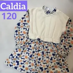 【Caldia】ワンピース花柄120 キッズ