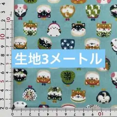 生地　3メートル　同封不可