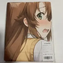 14OTAMONアニメバスタオル　タペストリー　シークレット