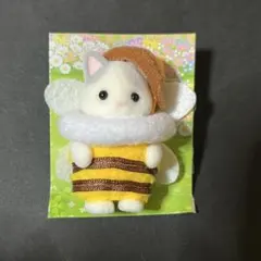 みつばち ラテネコの赤ちゃん