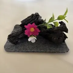 木の根オブジェ ニス加工 飾りマット付き　ハンドメイドのサムネイル