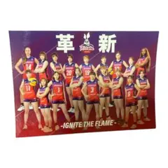 Item thumbnail for item a6f3bb6c-b798-4d85-a7bf-c87649233680