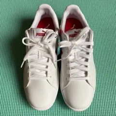 Item thumbnail for item eec1fda1-f54d-4b77-8aa3-21dfac16c57c