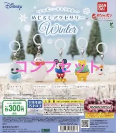 新品 ディズニー めじるしアクセサリー Winter ウィンター