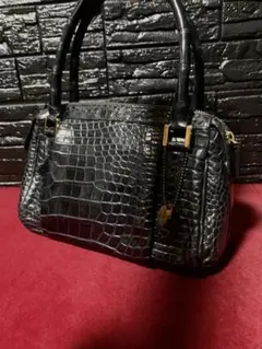 ✨美品✨JRA認定 クロコダイル 紺色 ミニバック 日本製✨