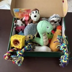 犬用おもちゃ まとめ売り ぬいぐるみ ロープ かみかみフルーツボーンのサムネイル