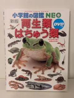 小学館の図鑑NEO 両生類 はちゅう類 DVD付き