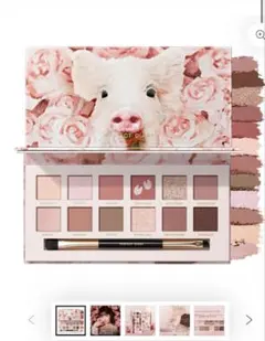 【未使用】パーフェクトダイアリーアイシャドウパレットローブピンク