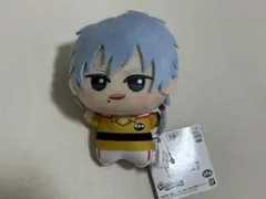 2025年最新】仁王雅治 ぬいぐるみの人気アイテム - メルカリ