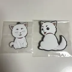 銀魂 定春 ラバーチャーム ラバーコレクション