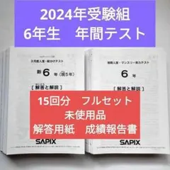 2026年最新】sapix 組分けテスト 新5年の人気アイテム - メルカリ