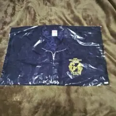 有馬記念 GRAND-PRIX 中山競馬場 G1 スゥイングトップ