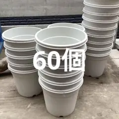 中古 植木鉢 60個 A-30 プラ鉢中古　A30 白鉢ホワイトのサムネイル