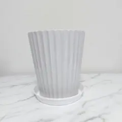 【受け皿付き】陶器製　観葉植物の鉢　7号