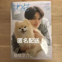 月刊わんこvol.24　表紙巻頭特集：藤牧京介（INI）／裏表紙：大東駿介