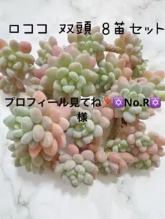 プロフィール見てね❣️✡️No.R✡️様 リクエスト 2点 まとめ商品