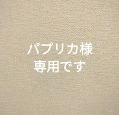 パプリカ様 リクエスト 3点 まとめ商品
