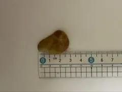 난 모양의 돌