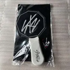 スキズ　stray kids ペンライト　初期