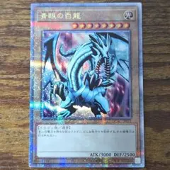 遊戯王 QCAC アーコレ　ブルーアイズホワイトドラゴン　クオシク　絵違い