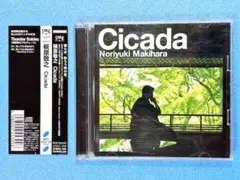 CD 枚組 槇原敬之/ Cicada 【初回限定盤 8cm CD付】