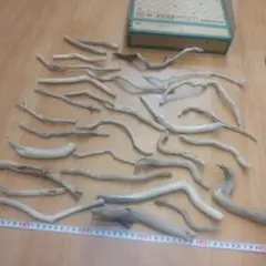 Item thumbnail for item d8069ca7-1381-45ee-b99a-142efa6018a3