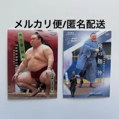 Item thumbnail for item fb8b2dae-84ed-4dec-bb39-64b9f6418381