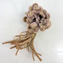 Item thumbnail for item 02bbe5cb-248e-4f55-8c7b-fdd0e84f3e4a